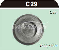 C29