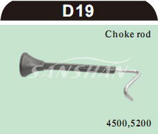 D19